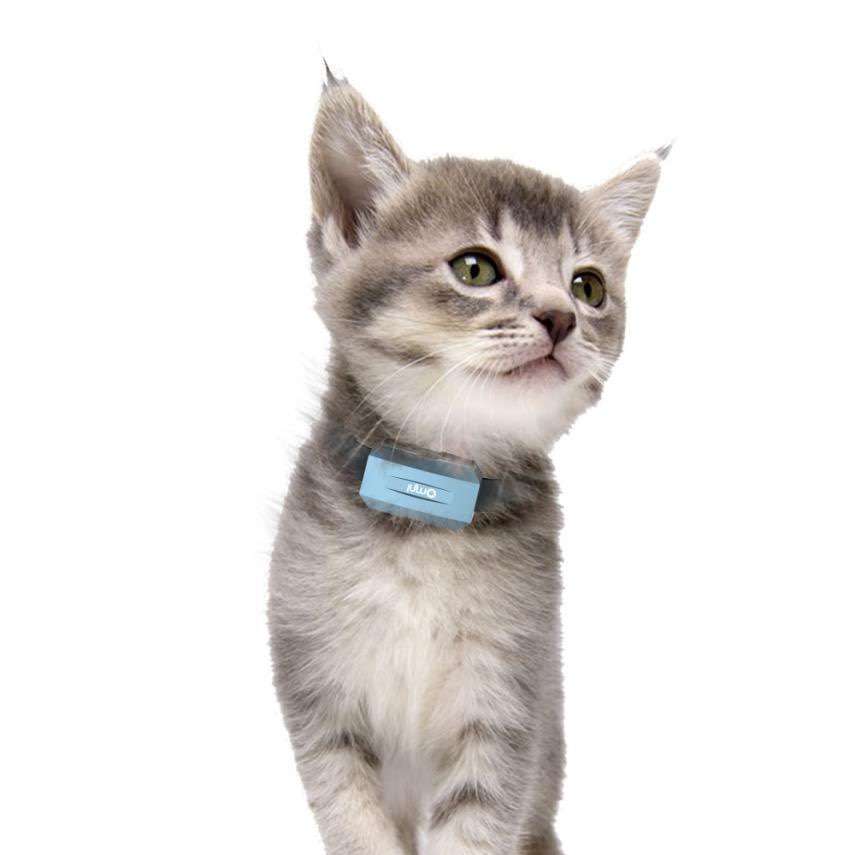 擁有專業寵物定位器幫助你解決寵物丟失問題